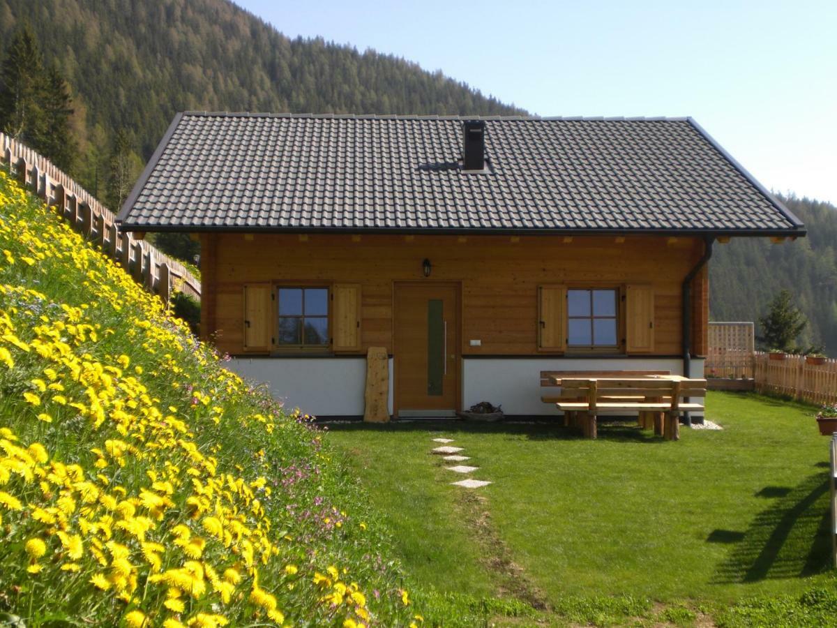 Chalet Niederhaushof Ultimo Extérieur photo