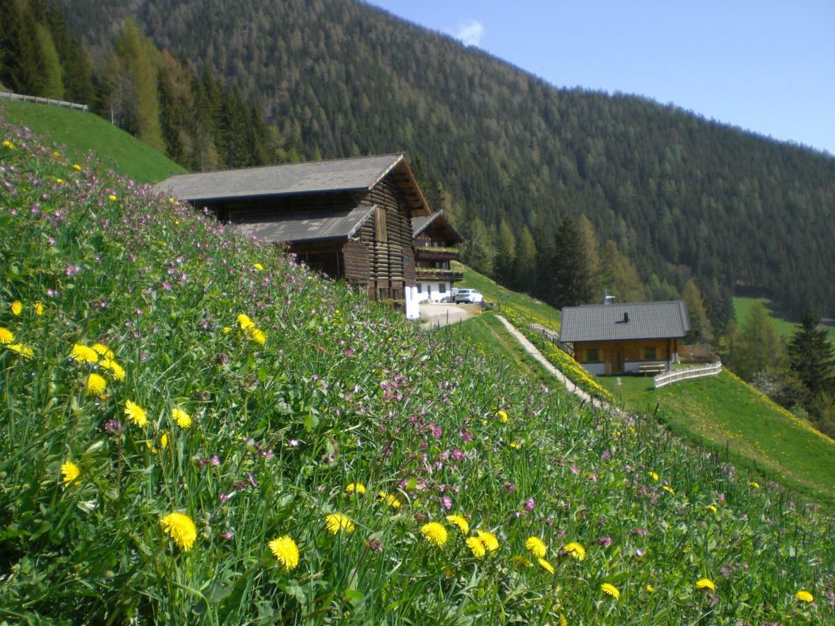 Chalet Niederhaushof Ultimo Extérieur photo