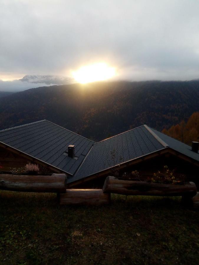 Chalet Niederhaushof Ultimo Extérieur photo