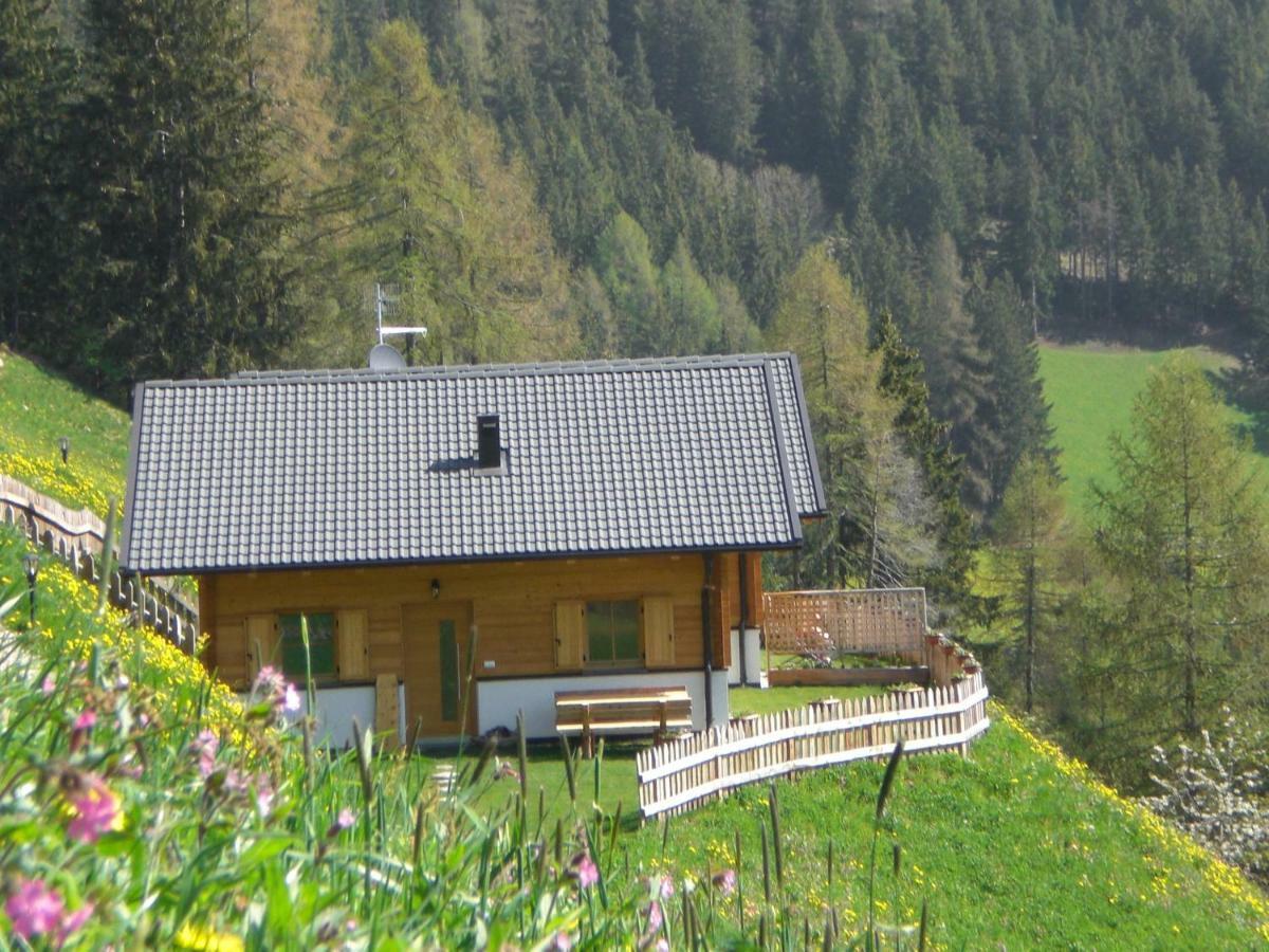 Chalet Niederhaushof Ultimo Extérieur photo